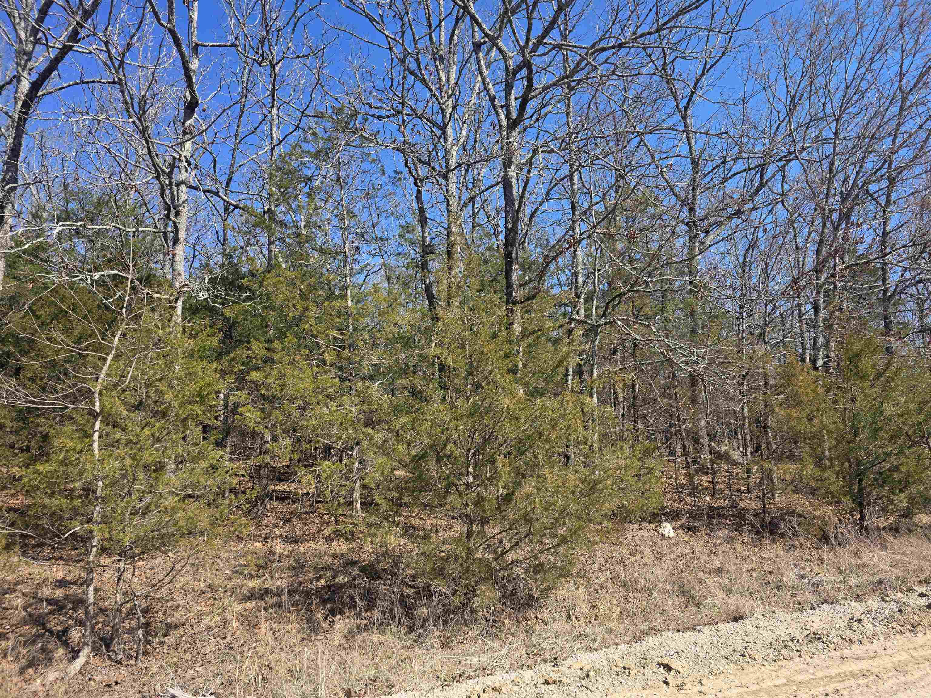 Photo 5 - Vacant Land for sale – 1112  Court Loop   Horseshoe Bend, AR