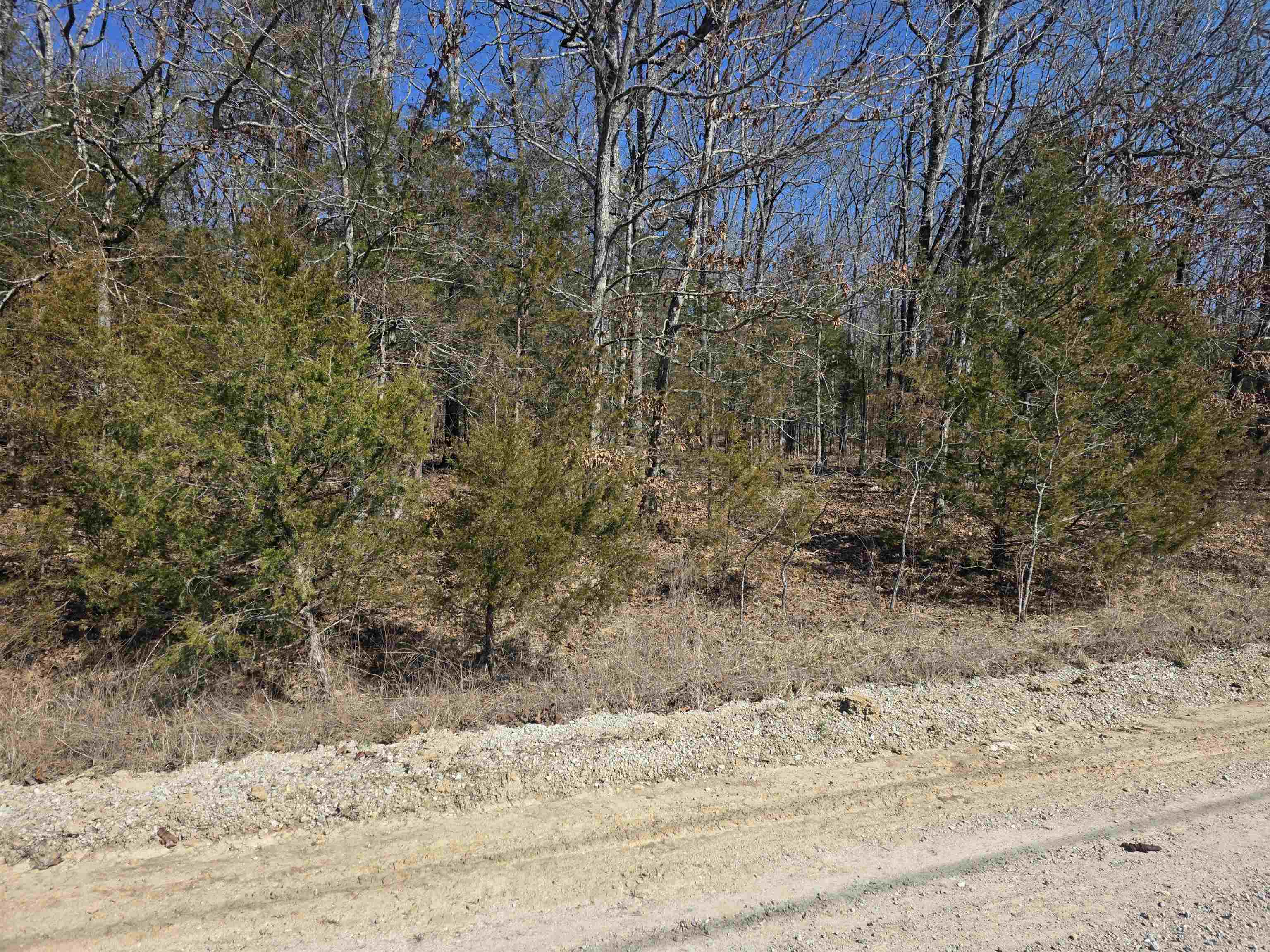 Photo 6 - Vacant Land for sale – 1112  Court Loop   Horseshoe Bend, AR