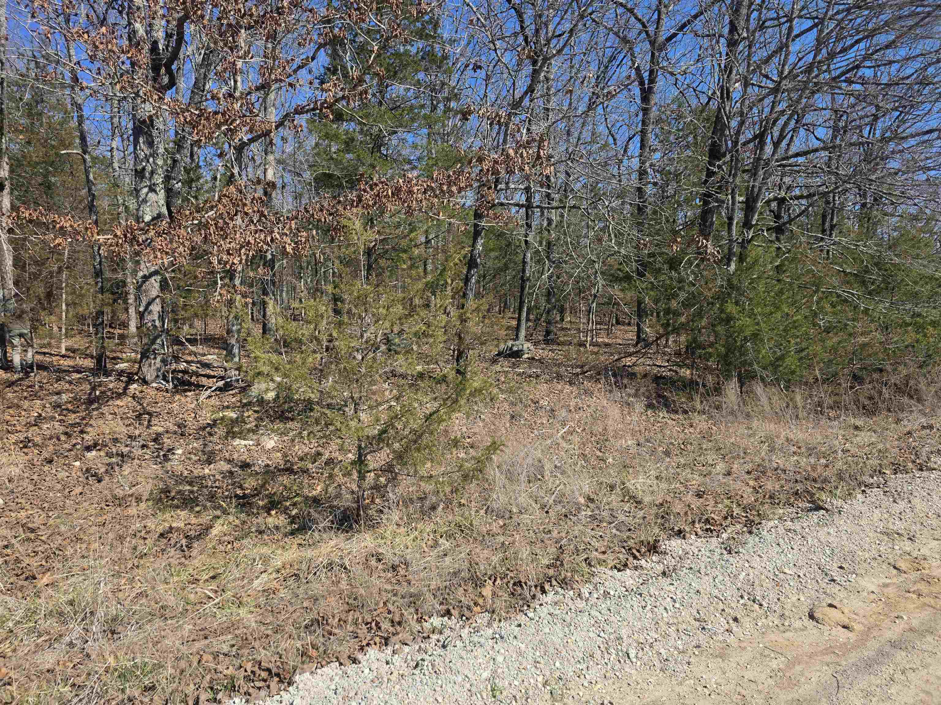 Photo 7 - Vacant Land for sale – 1112  Court Loop   Horseshoe Bend, AR