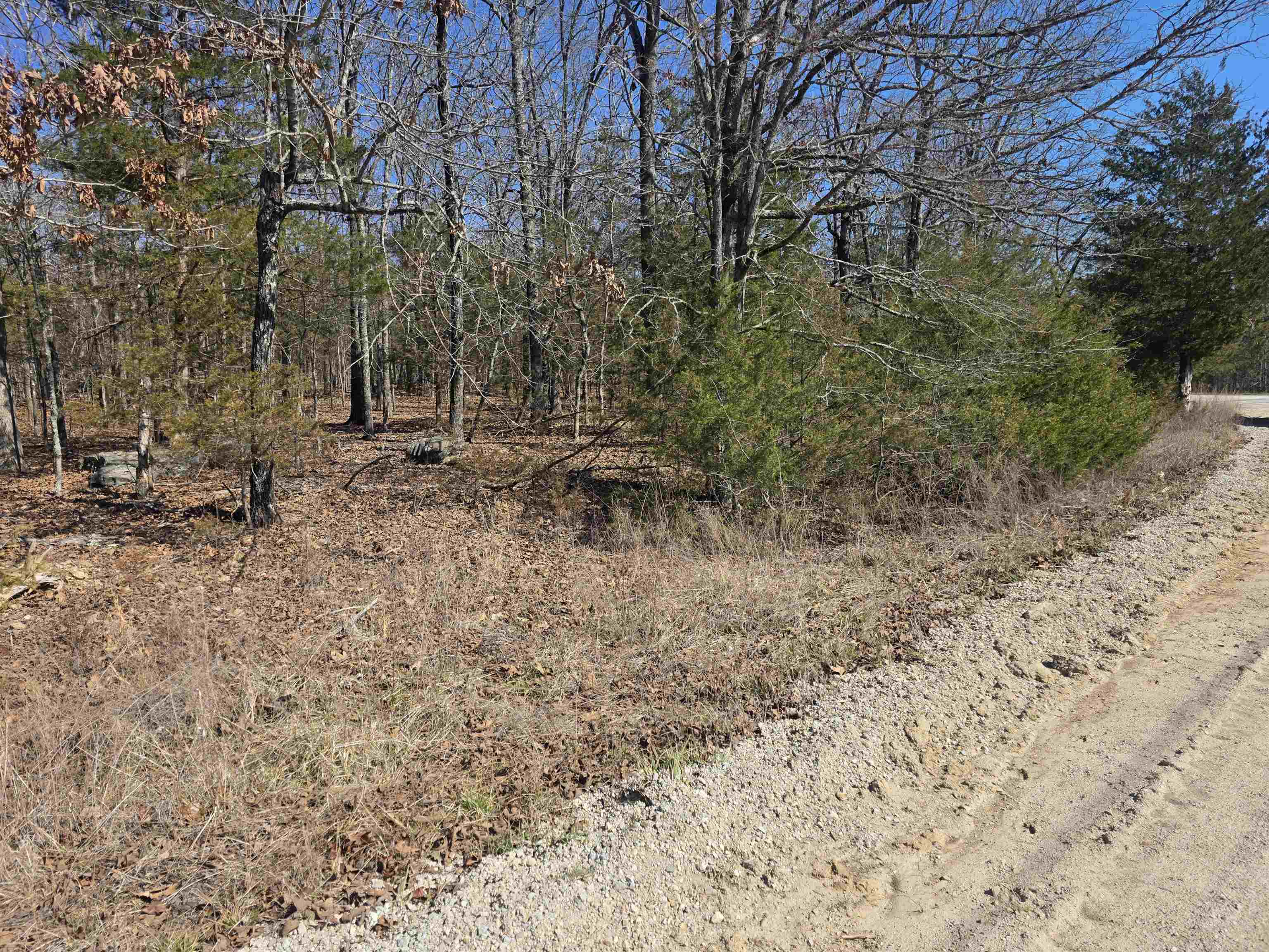 Photo 8 - Vacant Land for sale – 1112  Court Loop   Horseshoe Bend, AR