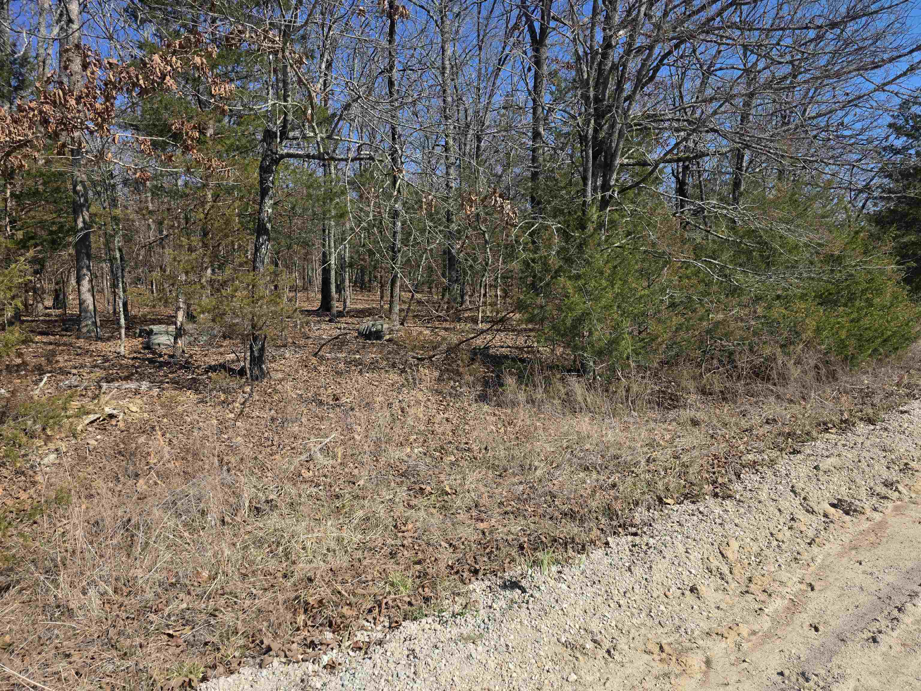 Photo 9 - Vacant Land for sale – 1112  Court Loop   Horseshoe Bend, AR