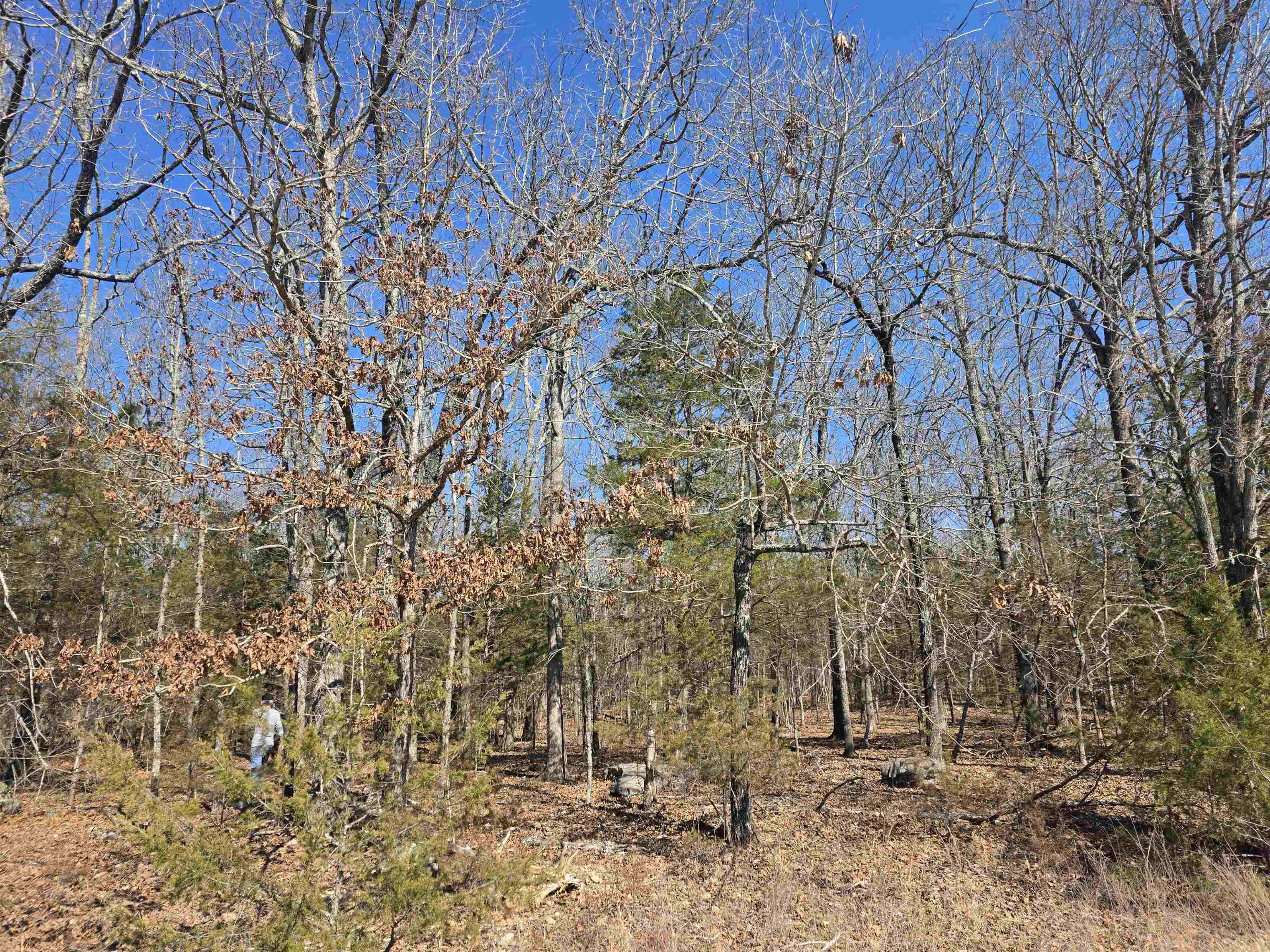 Photo 10 - Vacant Land for sale – 1112  Court Loop   Horseshoe Bend, AR