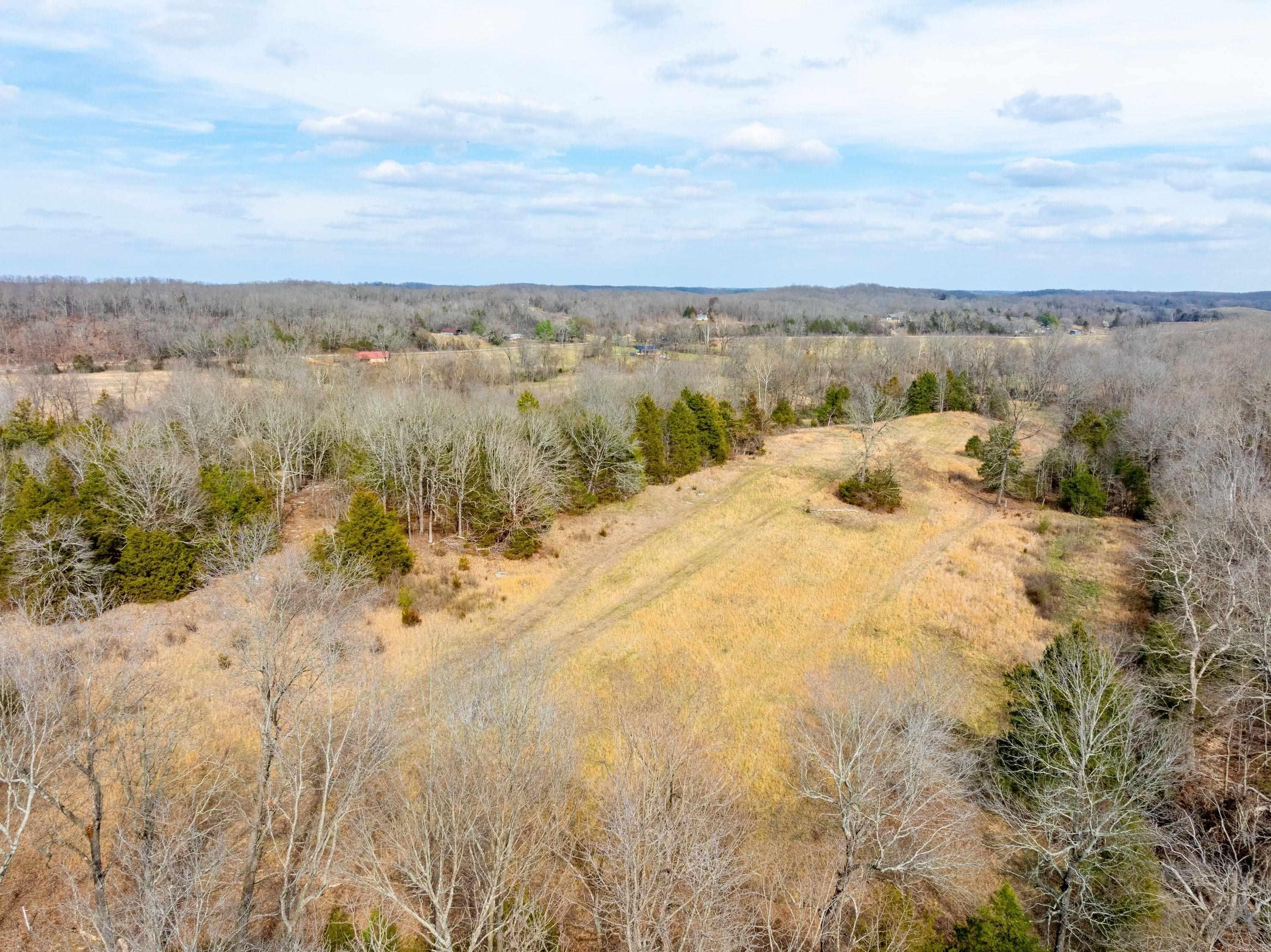 Photo 11 - Vacant Land for sale – 2794 & 2830  Antioch Rd   Cave City, AR