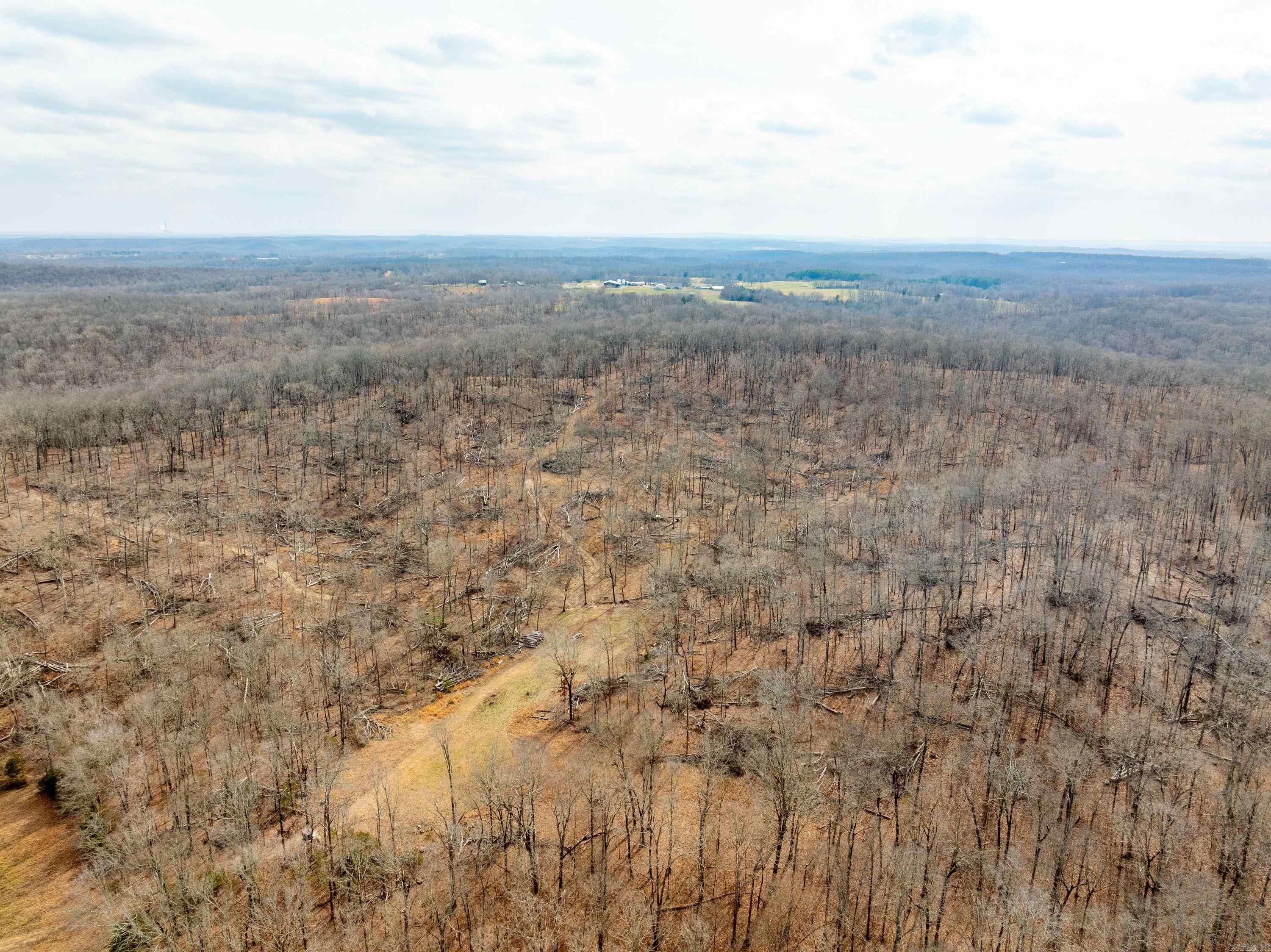 Photo 17 - Vacant Land for sale – 2794 & 2830  Antioch Rd   Cave City, AR