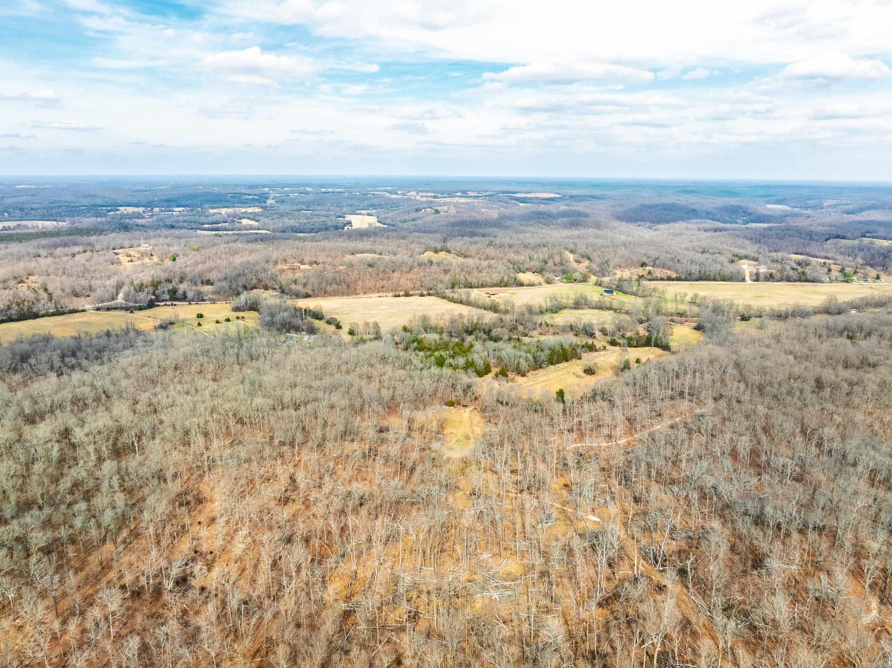 Photo 4 - Vacant Land for sale – 2794 & 2830  Antioch Rd   Cave City, AR