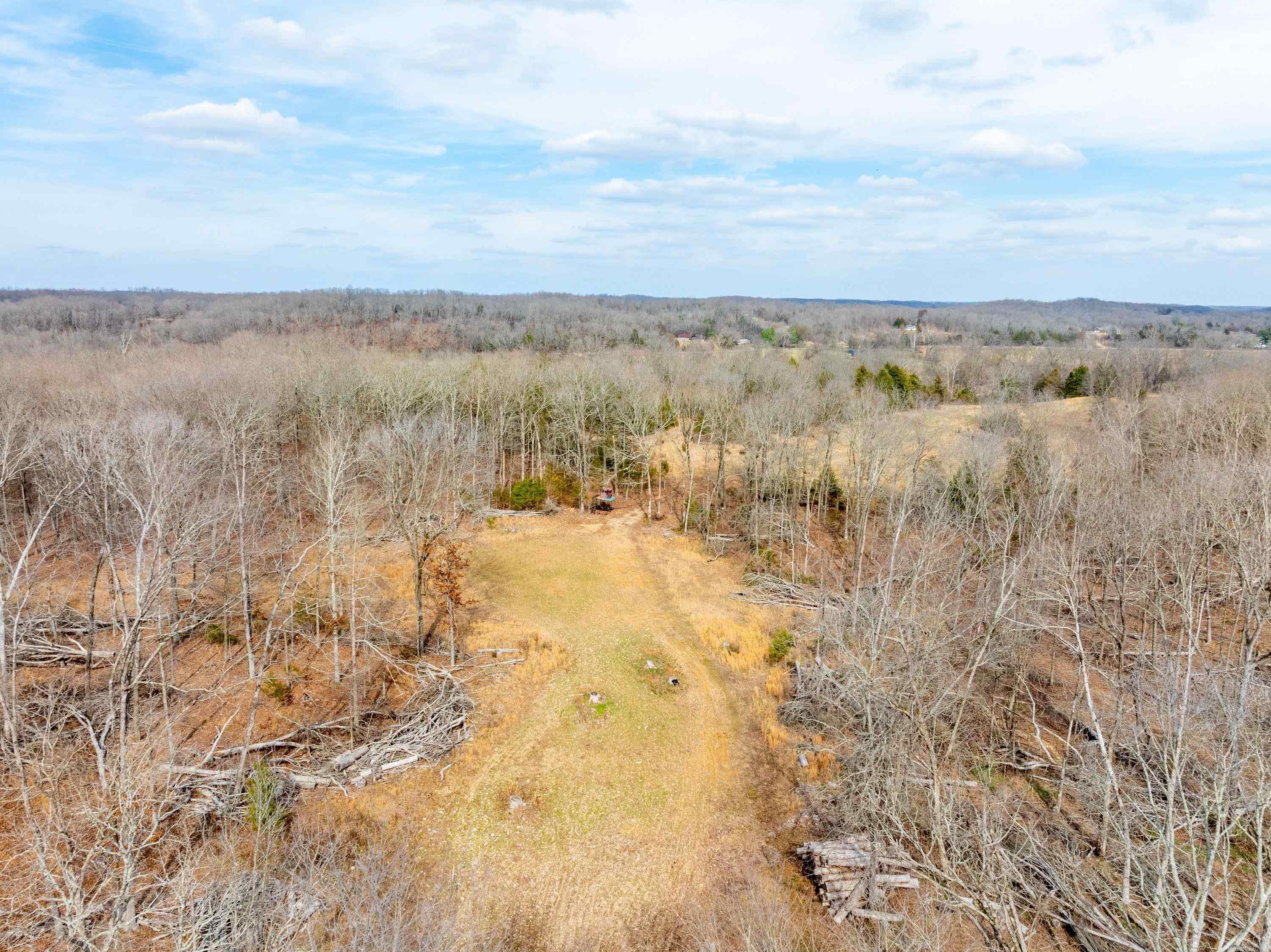 Photo 7 - Vacant Land for sale – 2794 & 2830  Antioch Rd   Cave City, AR