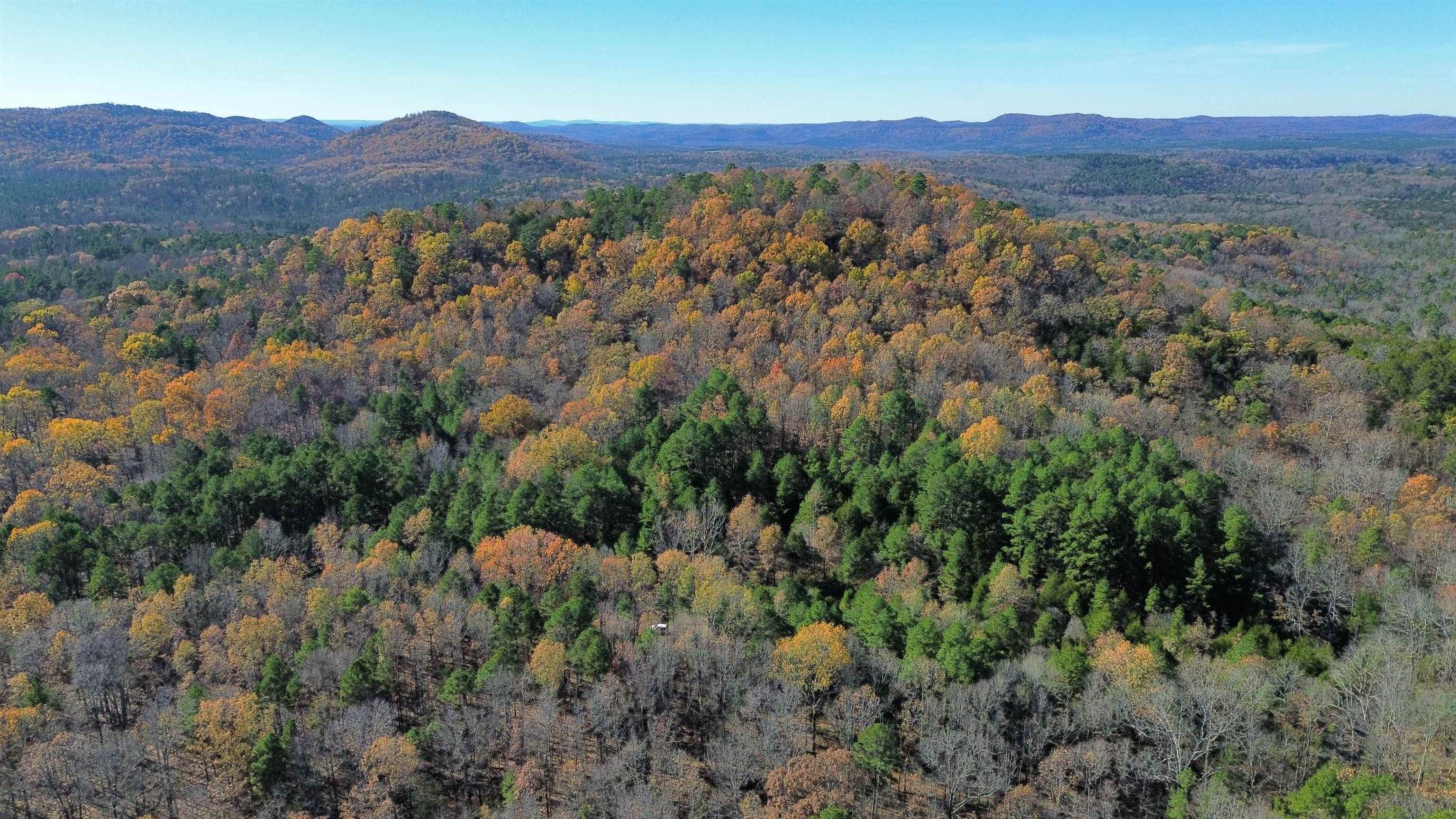 Photo 2 - Vacant Land for sale – 1980A  Boyce   Melbourne, AR