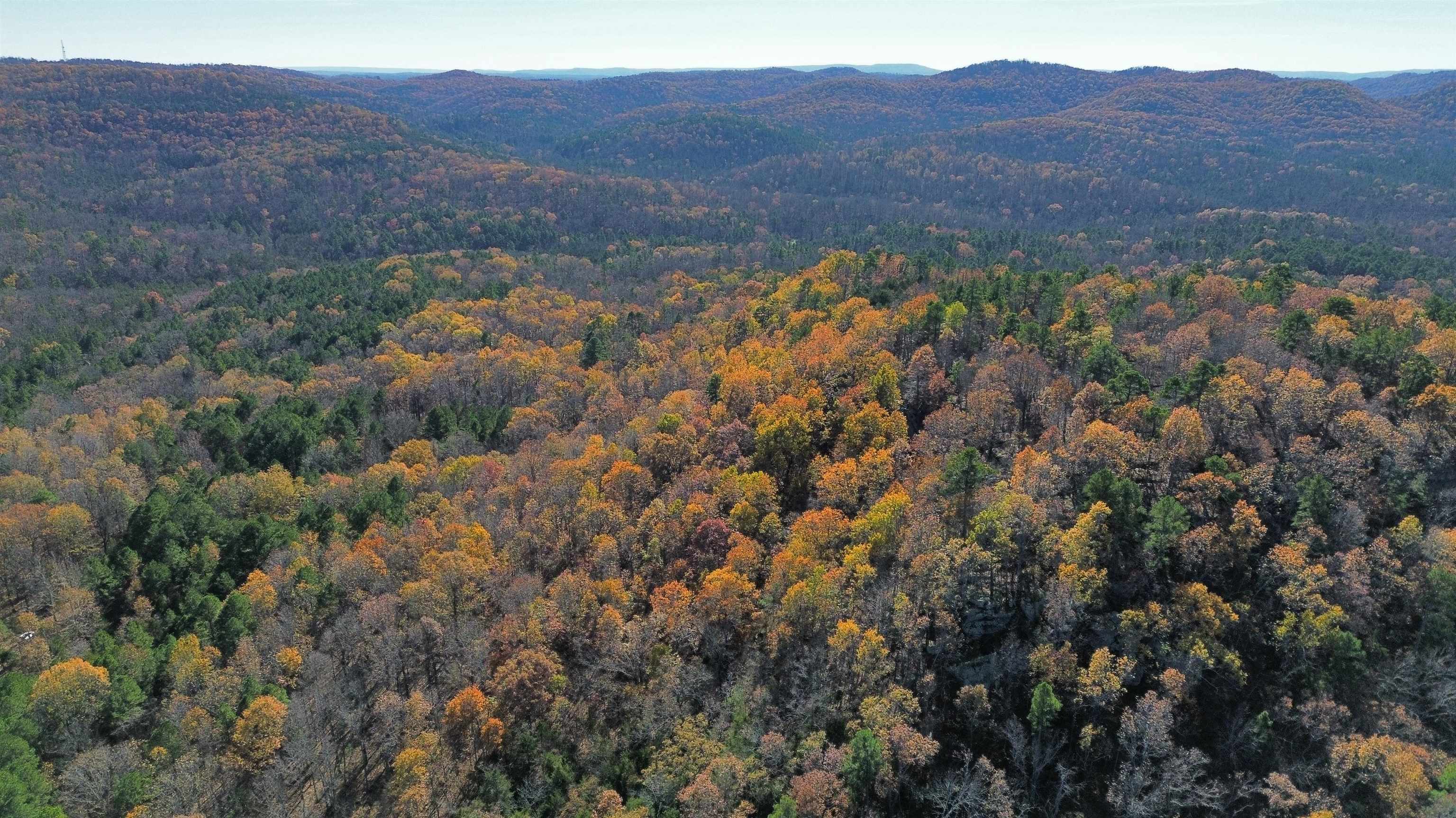 Photo 11 - Vacant Land for sale – 1980A  Boyce   Melbourne, AR