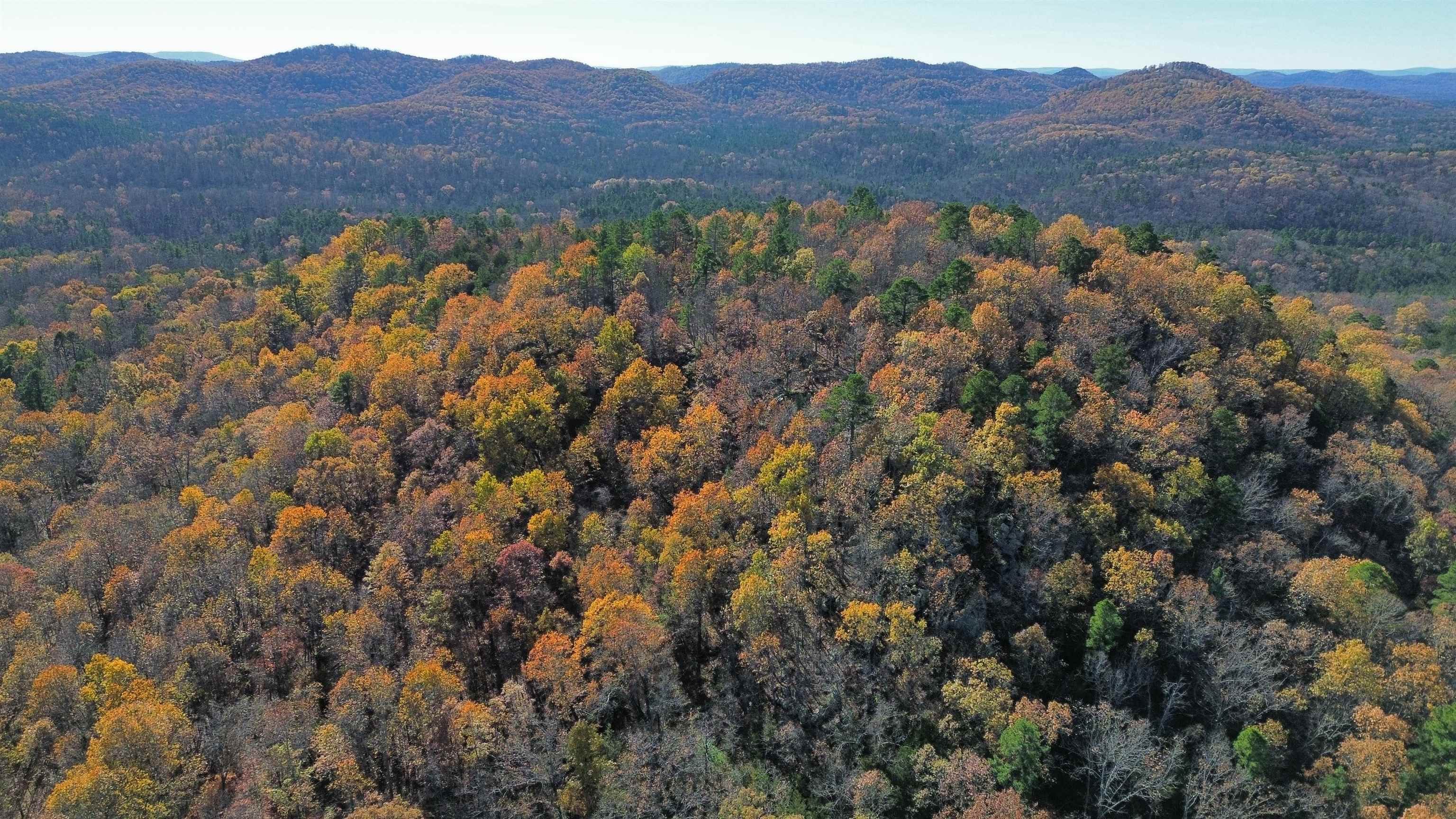 Photo 12 - Vacant Land for sale – 1980A  Boyce   Melbourne, AR