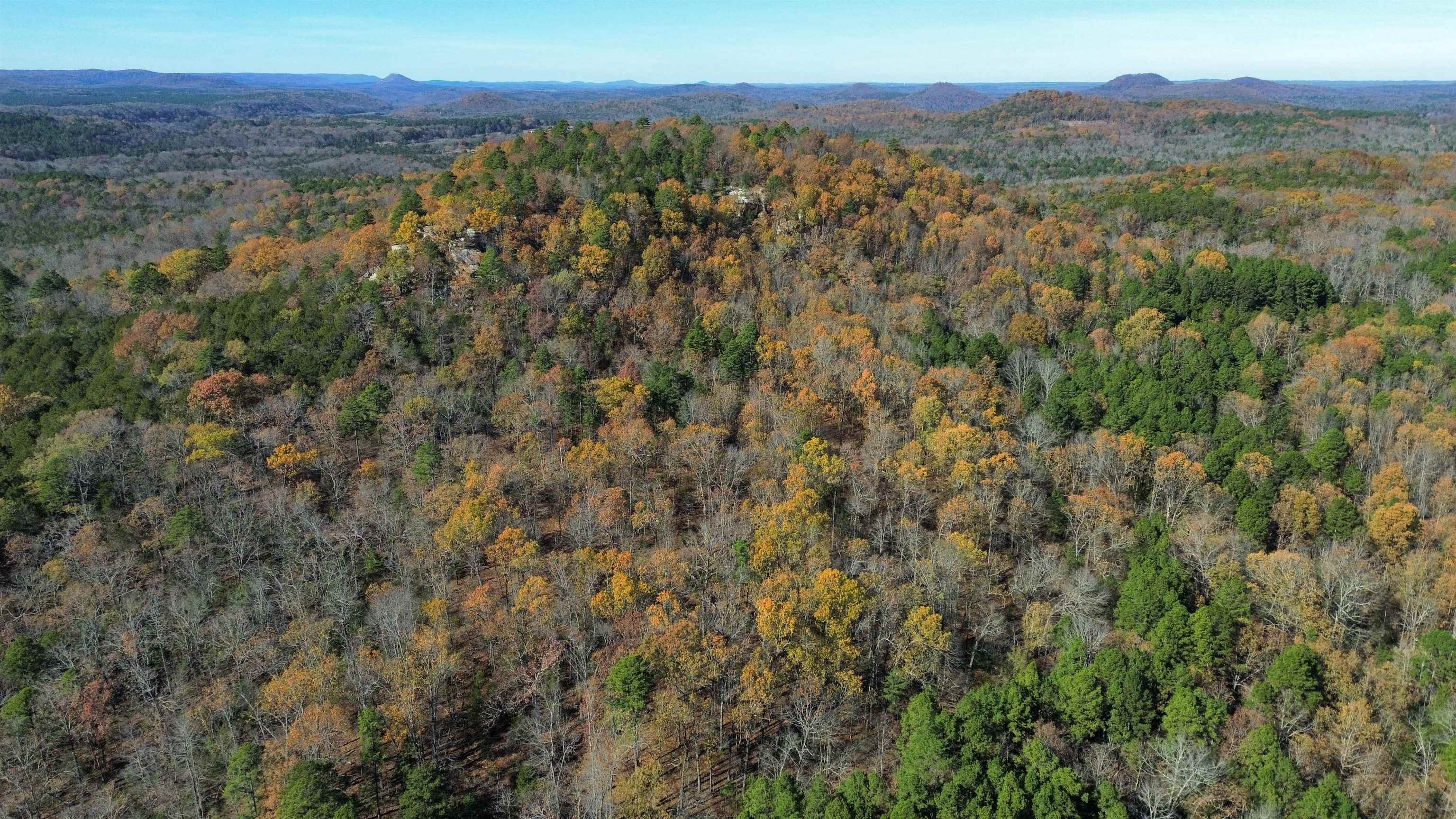 Photo 13 - Vacant Land for sale – 1980A  Boyce   Melbourne, AR