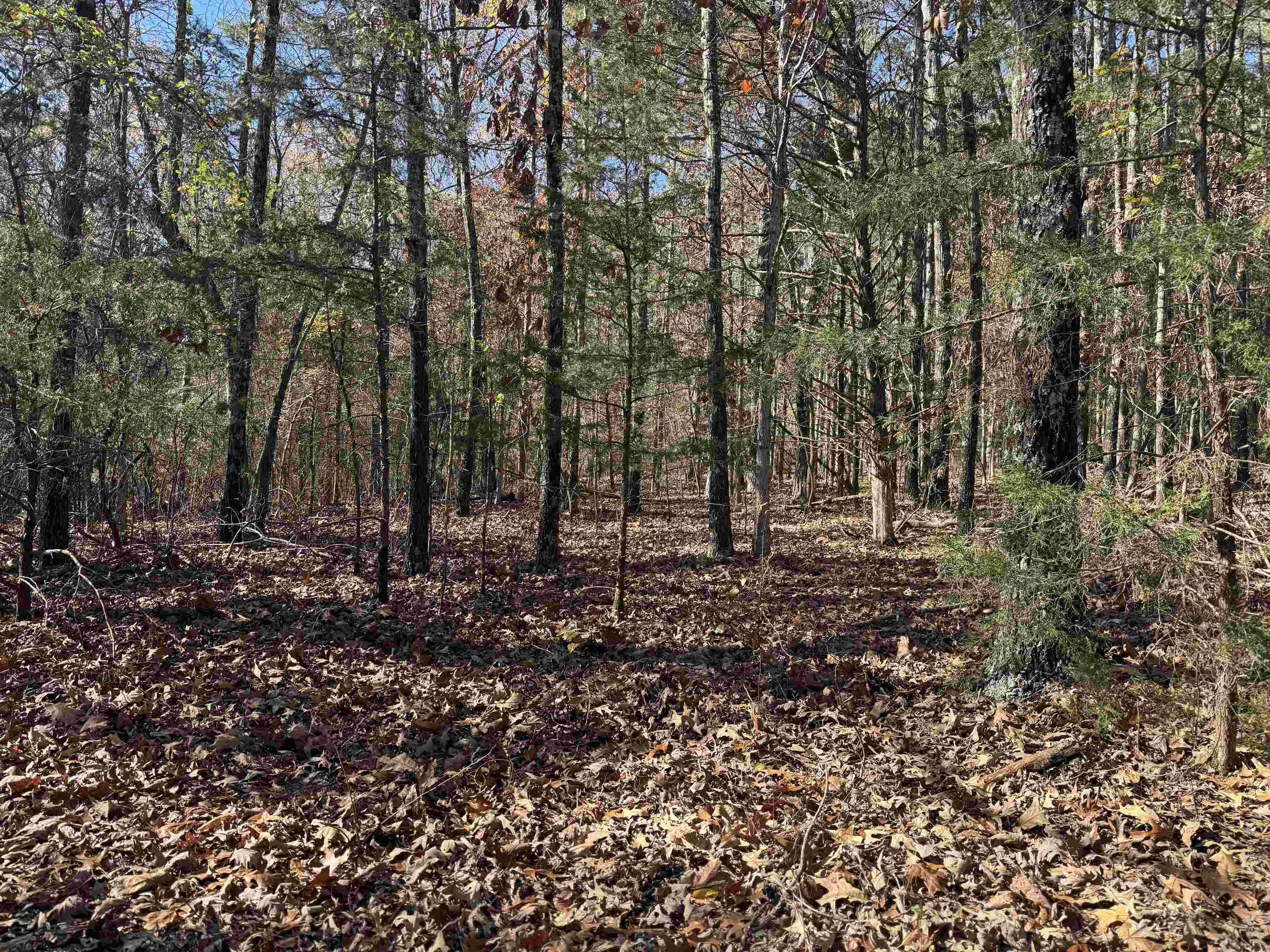 Photo 16 - Vacant Land for sale – 1980A  Boyce   Melbourne, AR