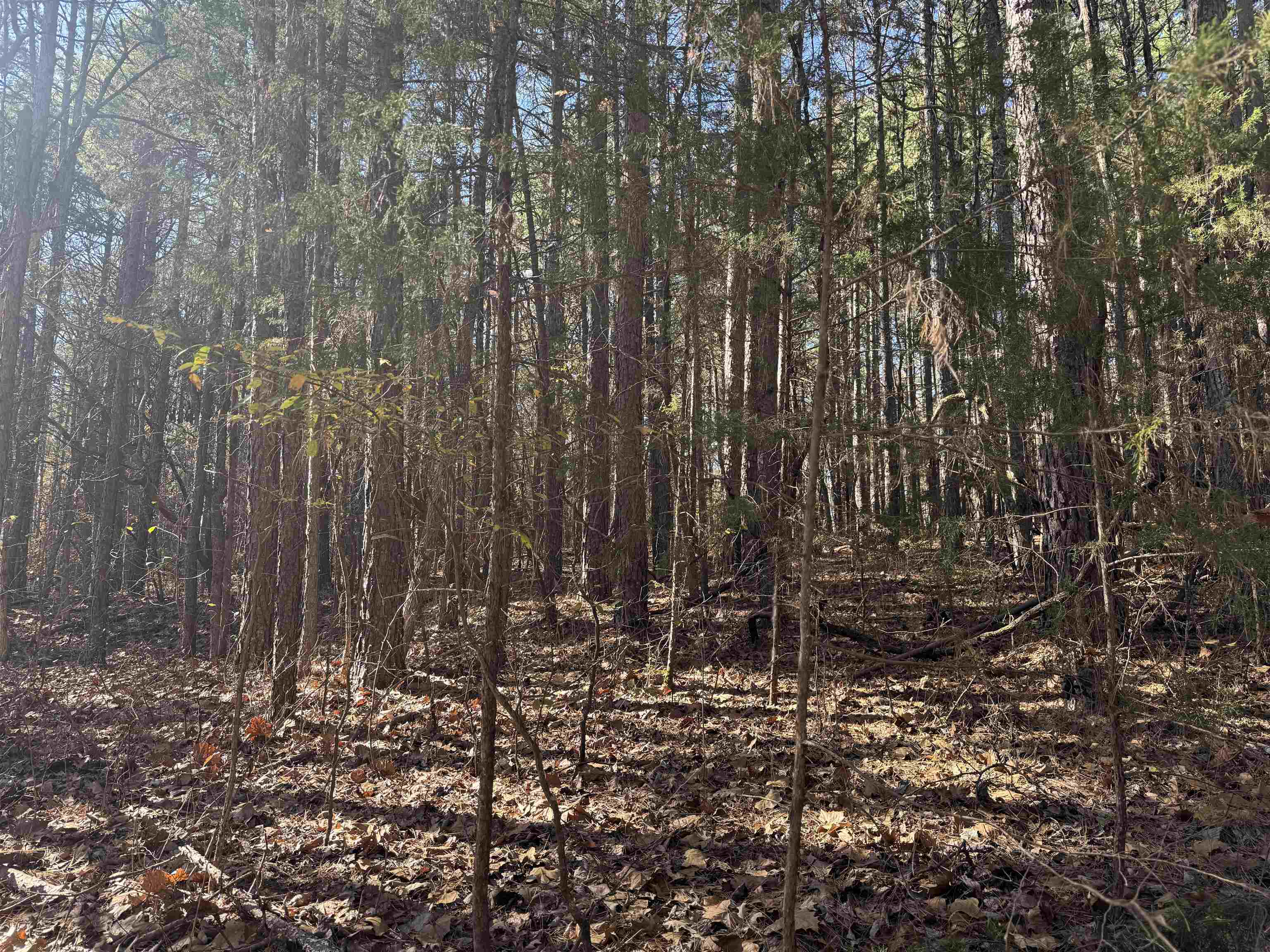 Photo 18 - Vacant Land for sale – 1980A  Boyce   Melbourne, AR