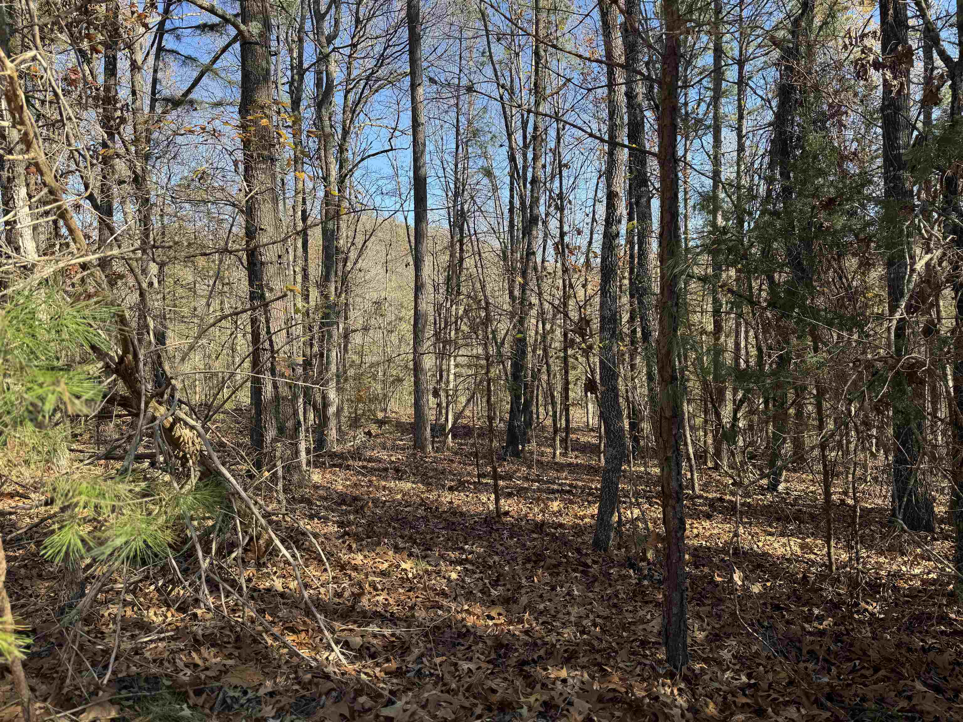 Photo 18 - Vacant Land for sale – 1980A  Boyce   Melbourne, AR