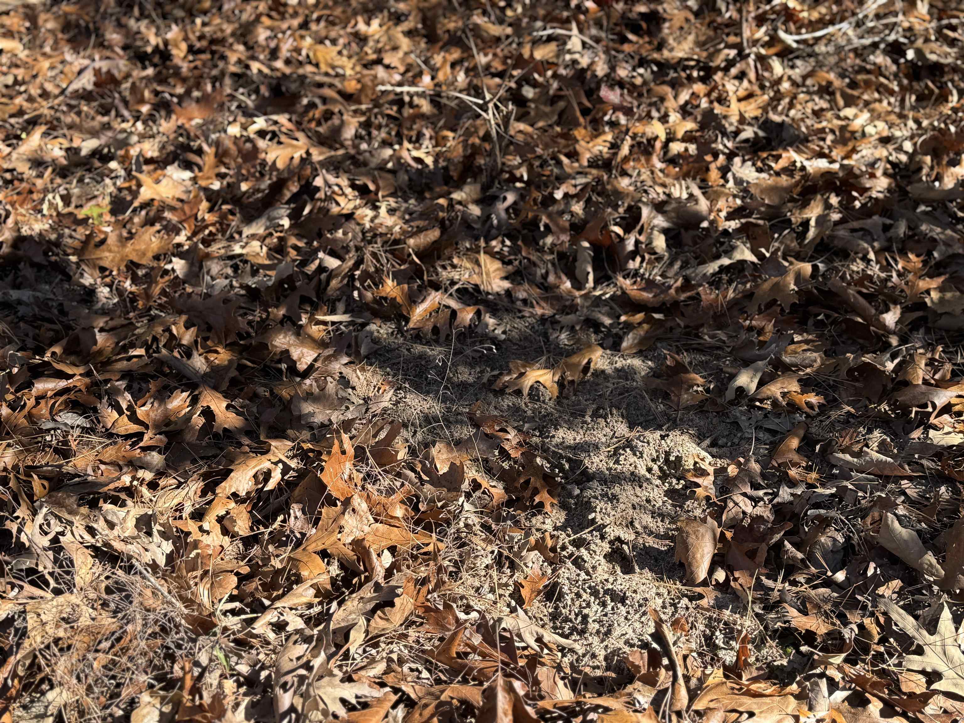 Photo 21 - Vacant Land for sale – 1980A  Boyce   Melbourne, AR