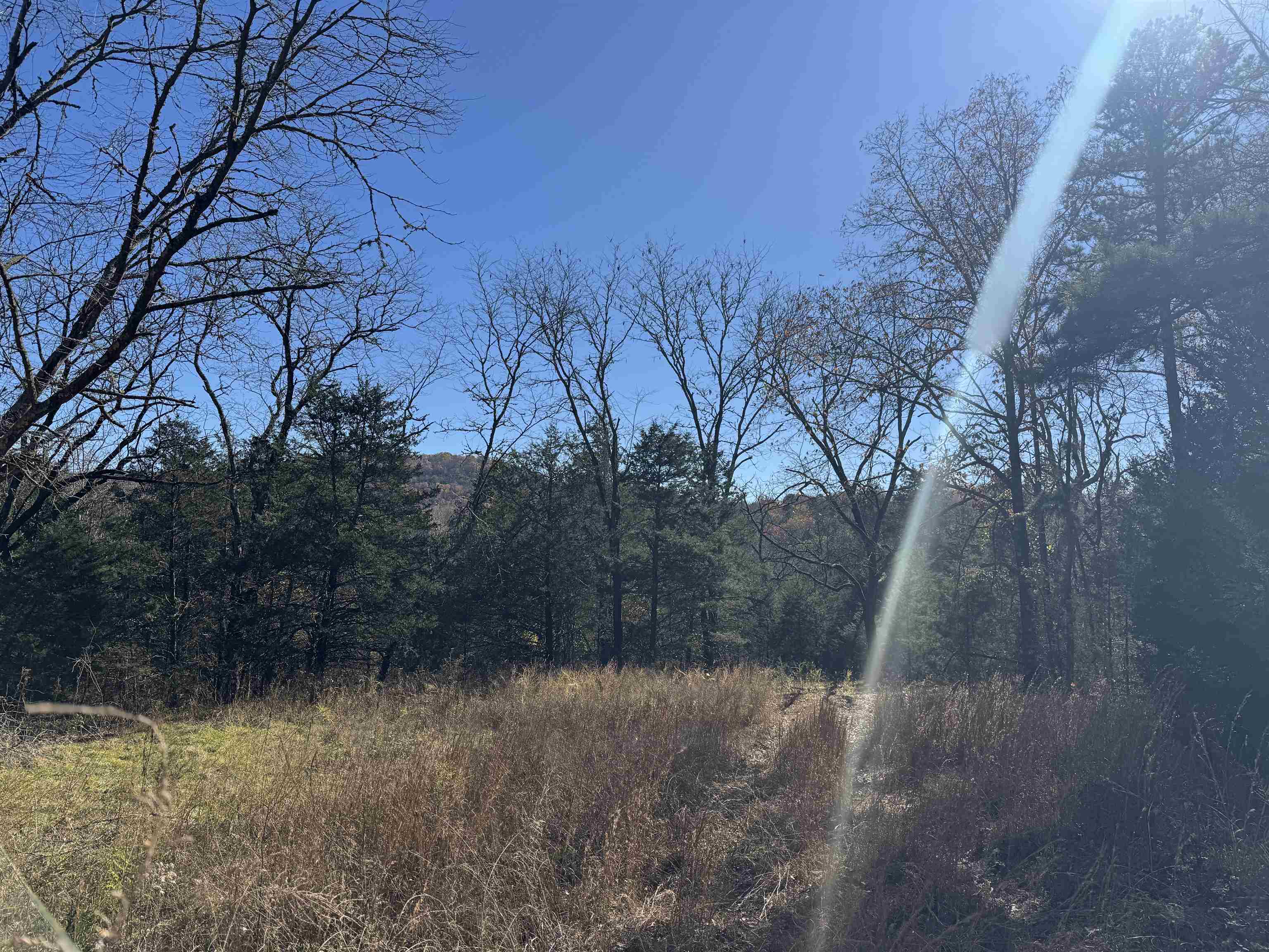 Photo 22 - Vacant Land for sale – 1980A  Boyce   Melbourne, AR