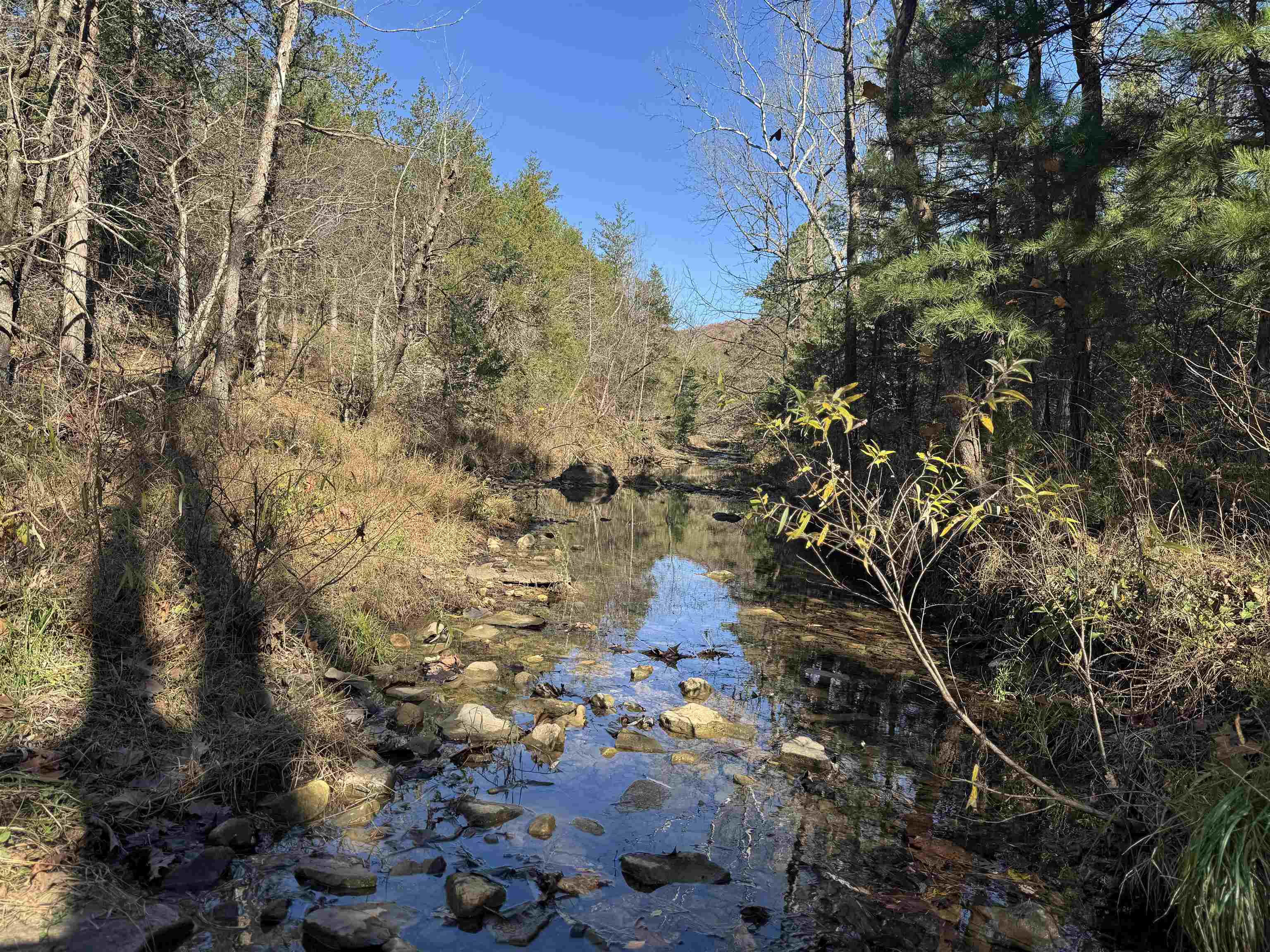 Photo 22 - Vacant Land for sale – 1980A  Boyce   Melbourne, AR