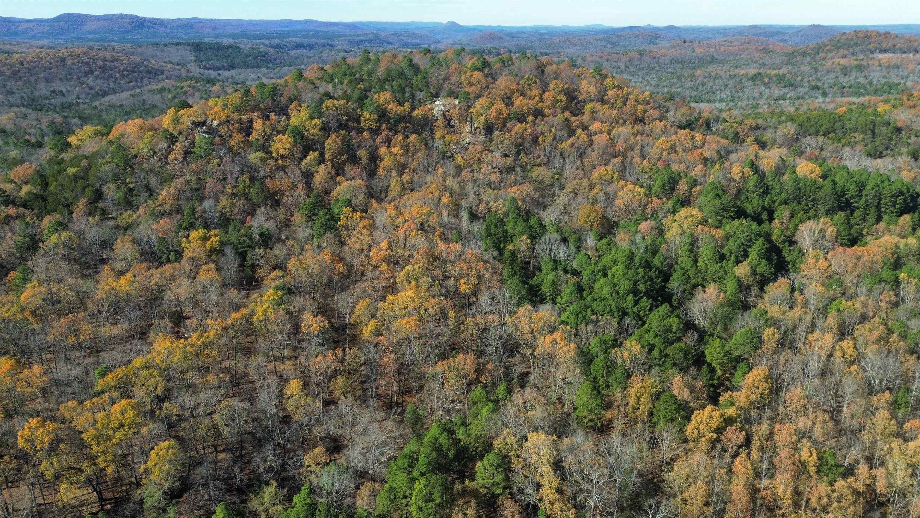 Photo 4 - Vacant Land for sale – 1980A  Boyce   Melbourne, AR