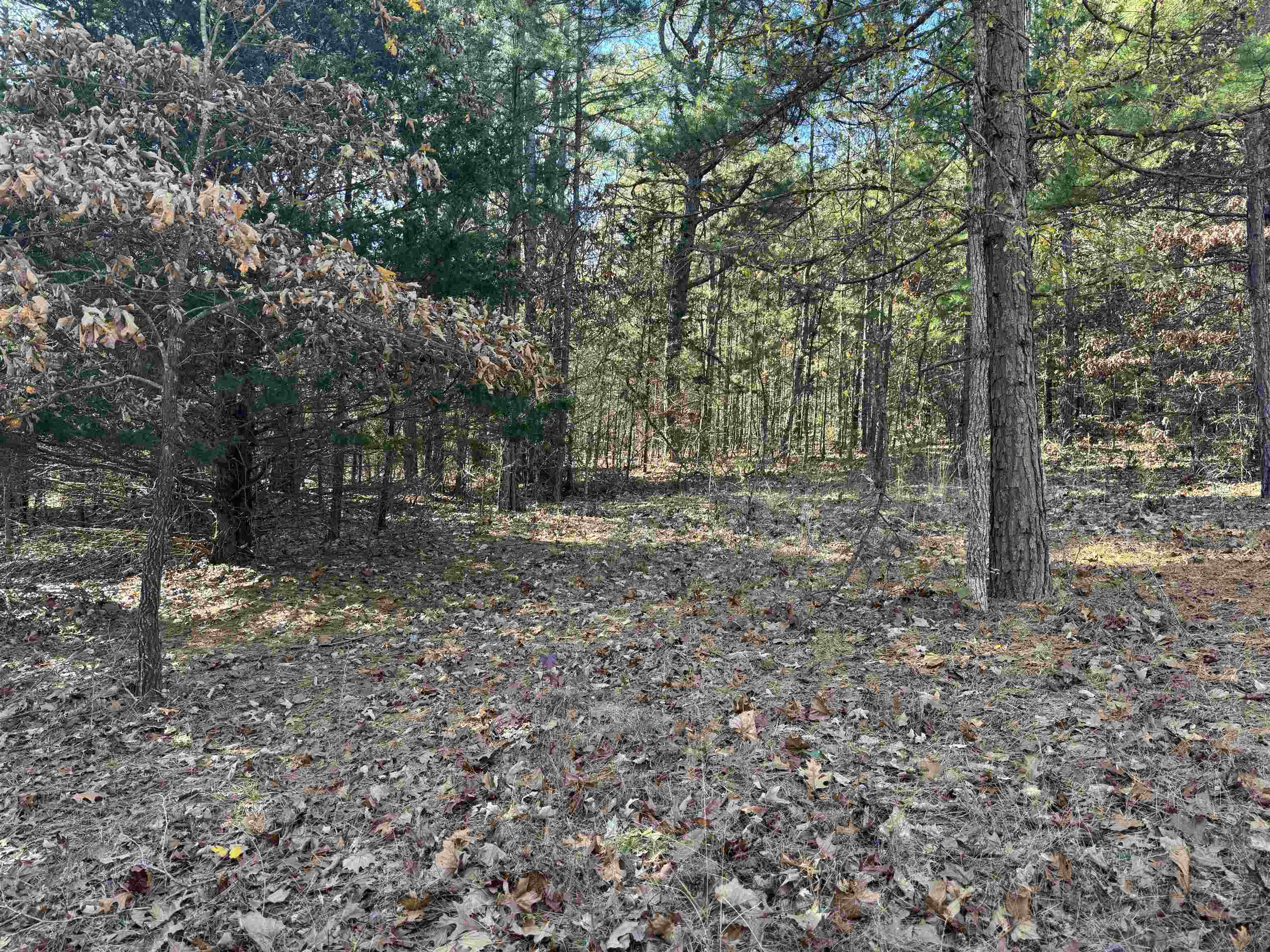 Photo 5 - Vacant Land for sale – 1980A  Boyce   Melbourne, AR