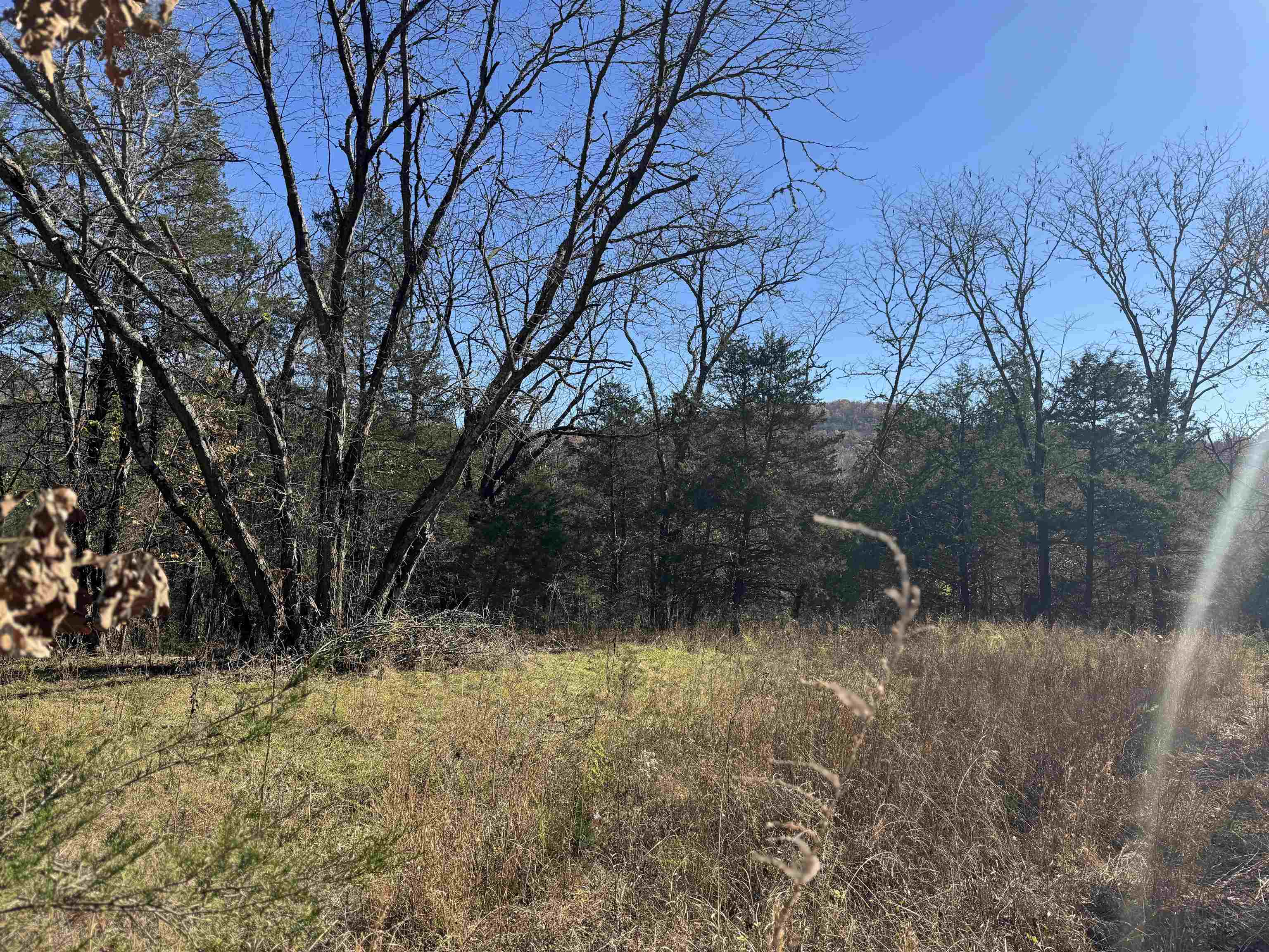 Photo 7 - Vacant Land for sale – 1980A  Boyce   Melbourne, AR