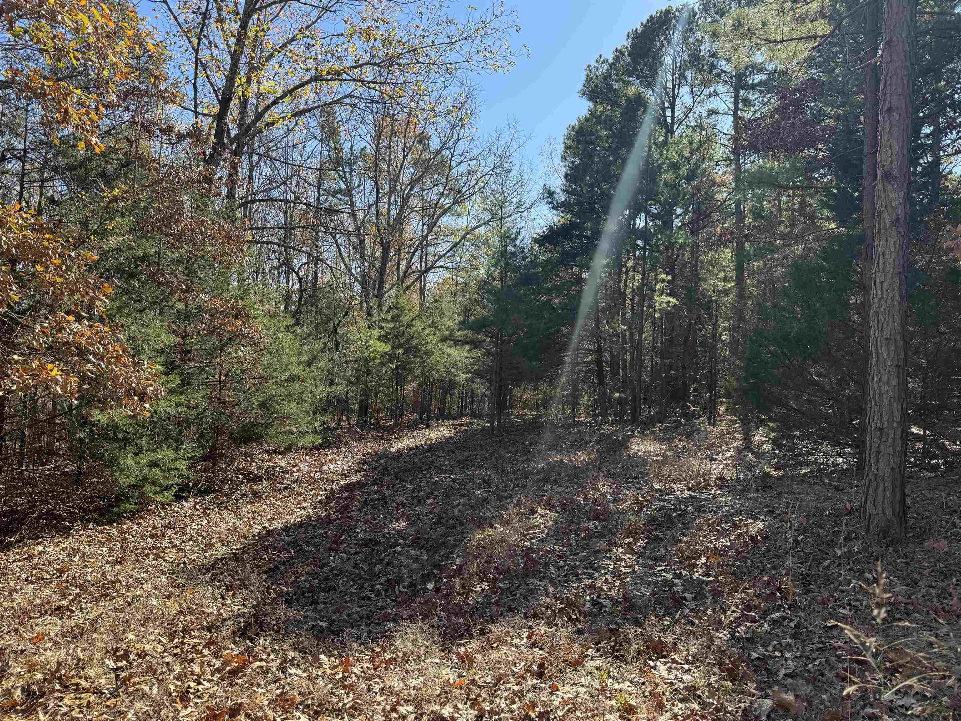 Photo 7 - Vacant Land for sale – 1980A  Boyce   Melbourne, AR