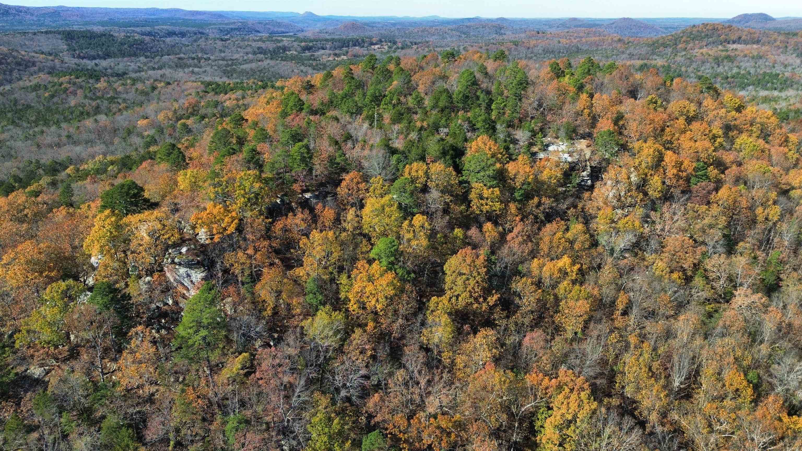 Photo 8 - Vacant Land for sale – 1980A  Boyce   Melbourne, AR