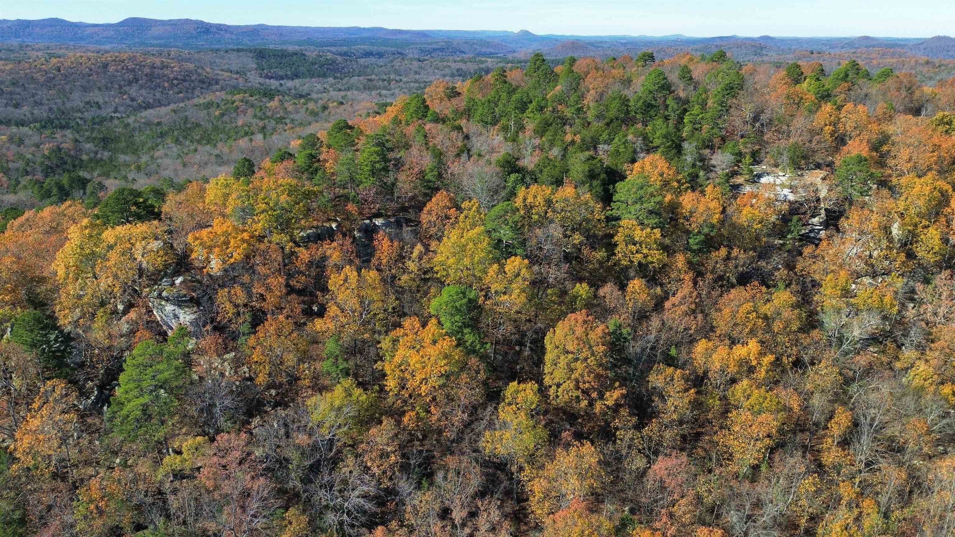 Photo 10 - Vacant Land for sale – 1980A  Boyce   Melbourne, AR