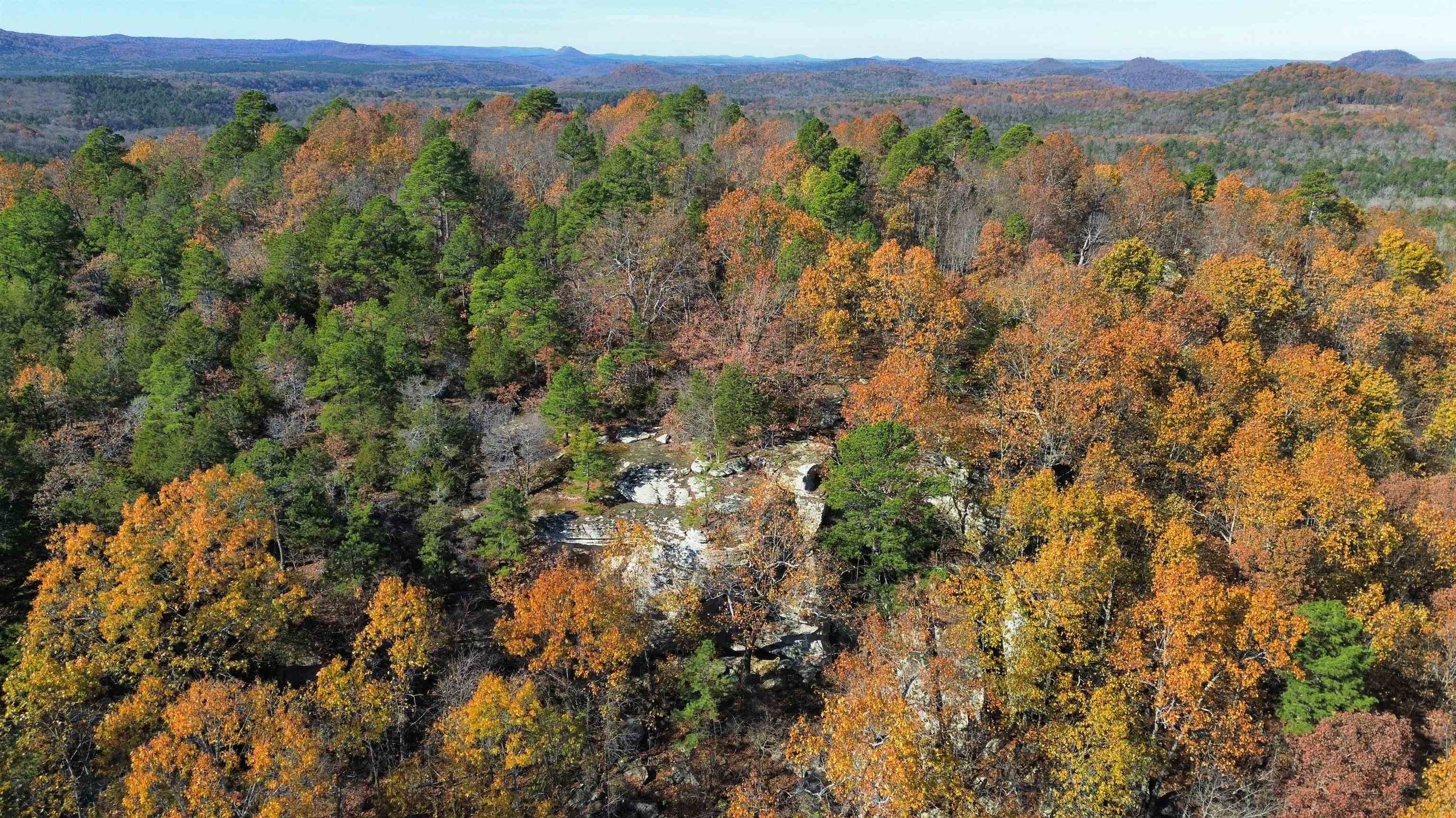 Photo 10 - Vacant Land for sale – 1980A  Boyce   Melbourne, AR