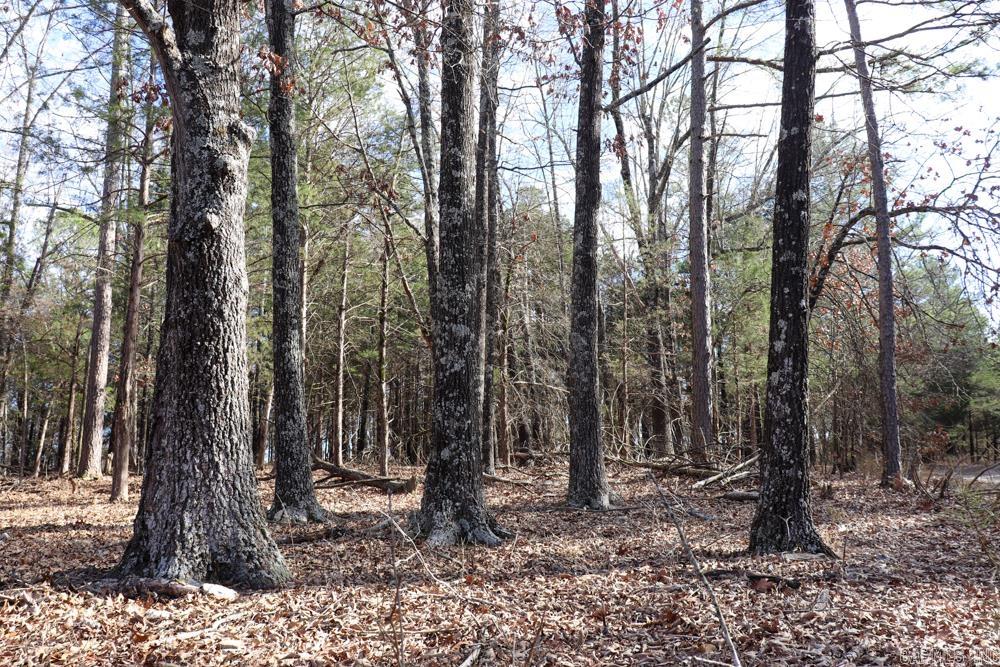 Photo 15 - Residential for sale – 9238  Elizabeth   Viola, AR