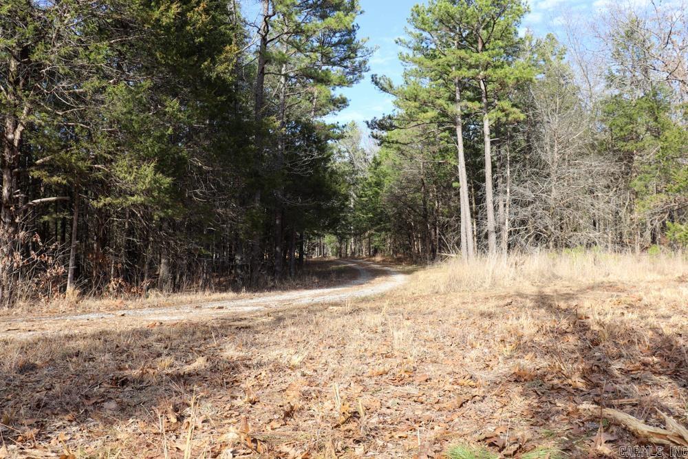 Photo 18 - Residential for sale – 9238  Elizabeth   Viola, AR