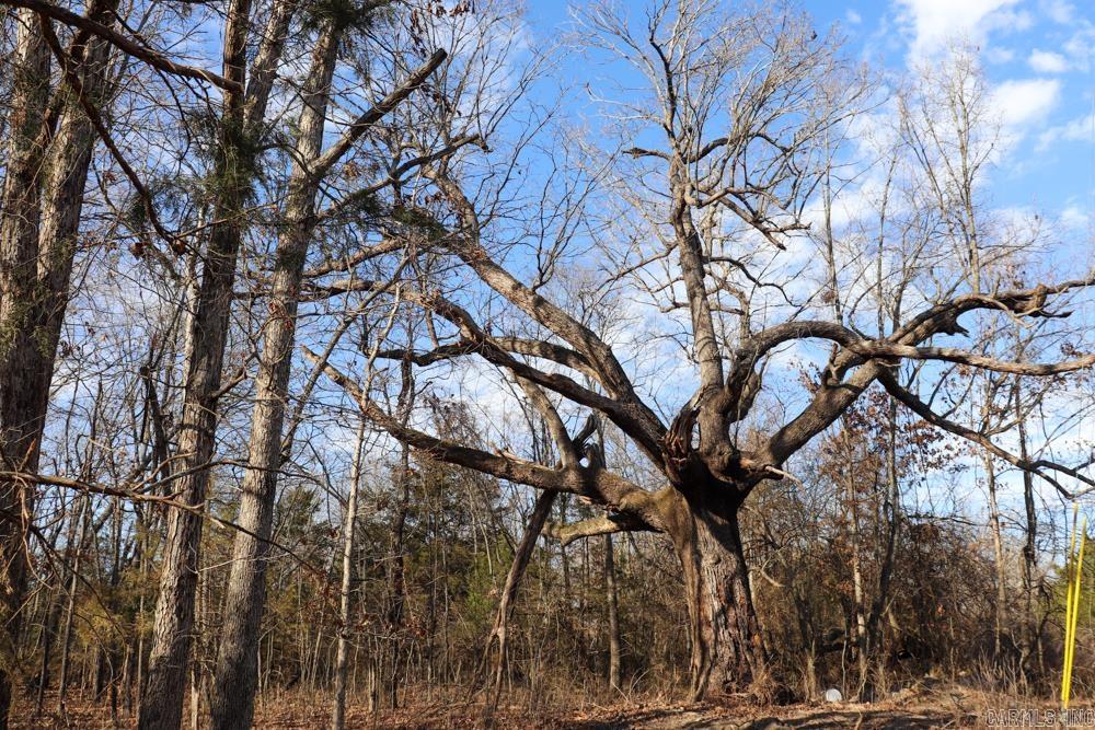 Photo 19 - Residential for sale – 9238  Elizabeth   Viola, AR