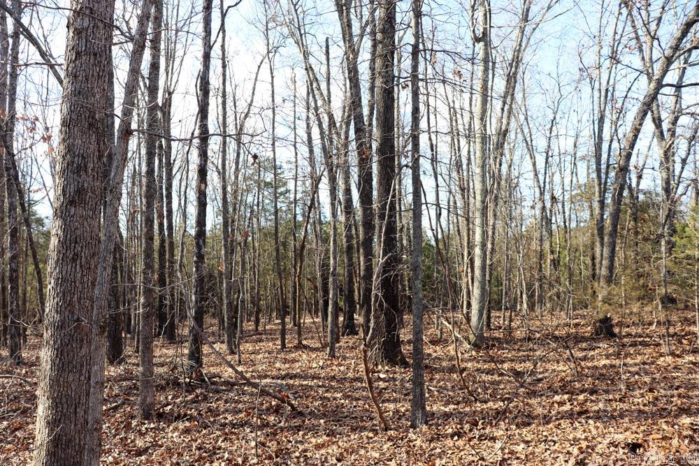 Photo 20 - Residential for sale – 9238  Elizabeth   Viola, AR