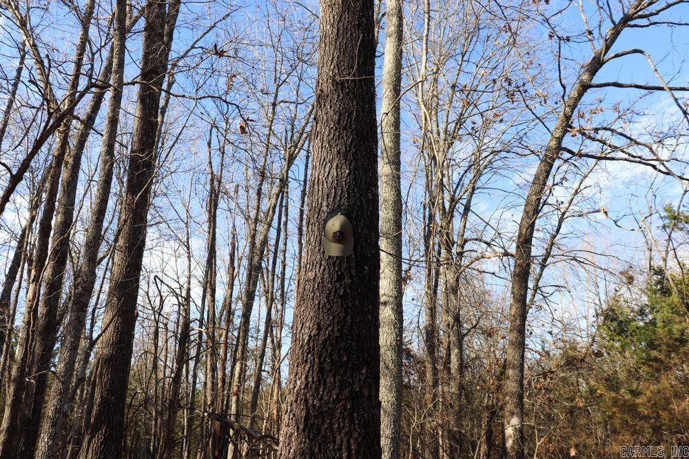 Photo 21 - Residential for sale – 9238  Elizabeth   Viola, AR