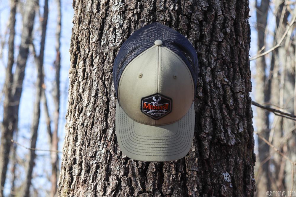 Photo 22 - Residential for sale – 9238  Elizabeth   Viola, AR