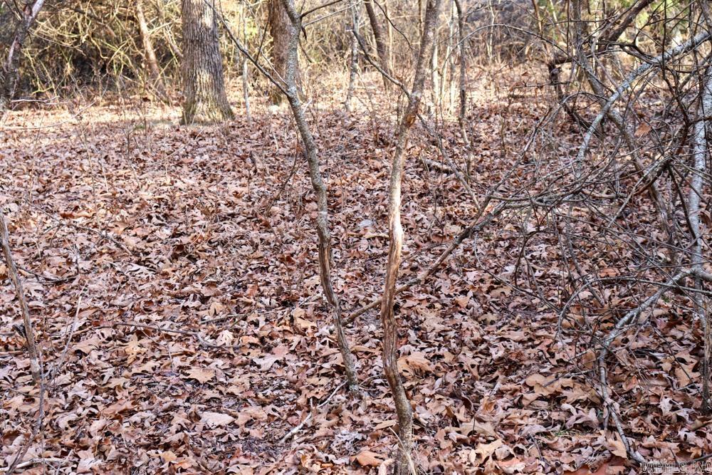 Photo 23 - Residential for sale – 9238  Elizabeth   Viola, AR