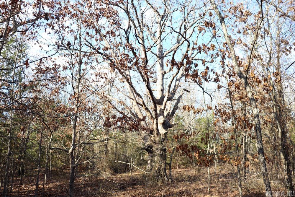 Photo 24 - Residential for sale – 9238  Elizabeth   Viola, AR