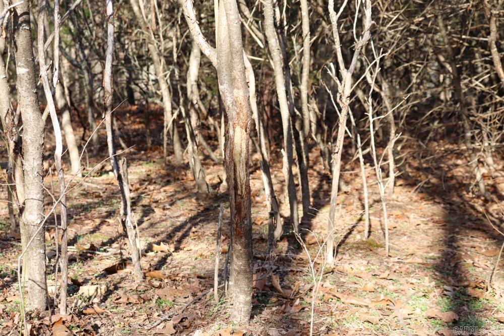 Photo 25 - Residential for sale – 9238  Elizabeth   Viola, AR