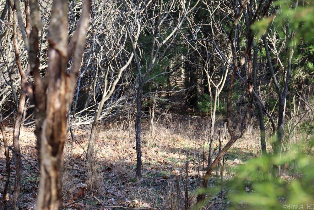 Photo 26 - Residential for sale – 9238  Elizabeth   Viola, AR