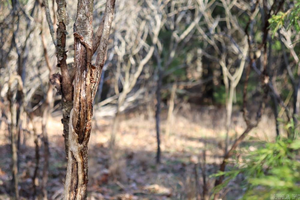 Photo 27 - Residential for sale – 9238  Elizabeth   Viola, AR