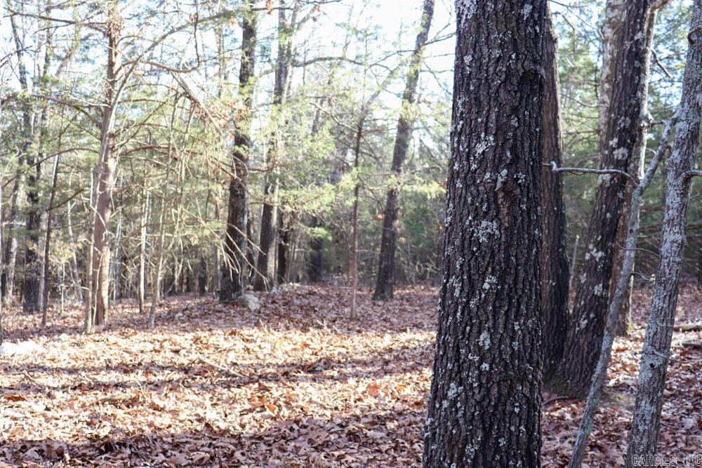 Photo 28 - Residential for sale – 9238  Elizabeth   Viola, AR