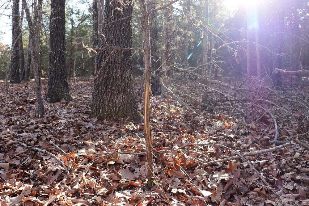 Photo 29 - Residential for sale – 9238  Elizabeth   Viola, AR