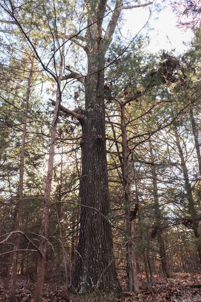 Photo 31 - Residential for sale – 9238  Elizabeth   Viola, AR