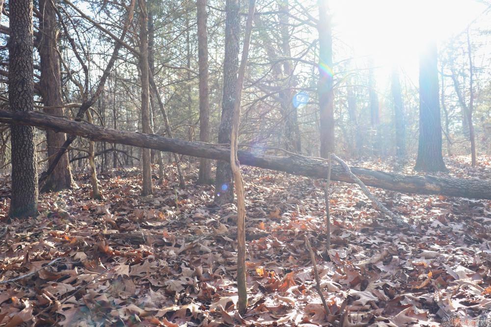 Photo 32 - Residential for sale – 9238  Elizabeth   Viola, AR