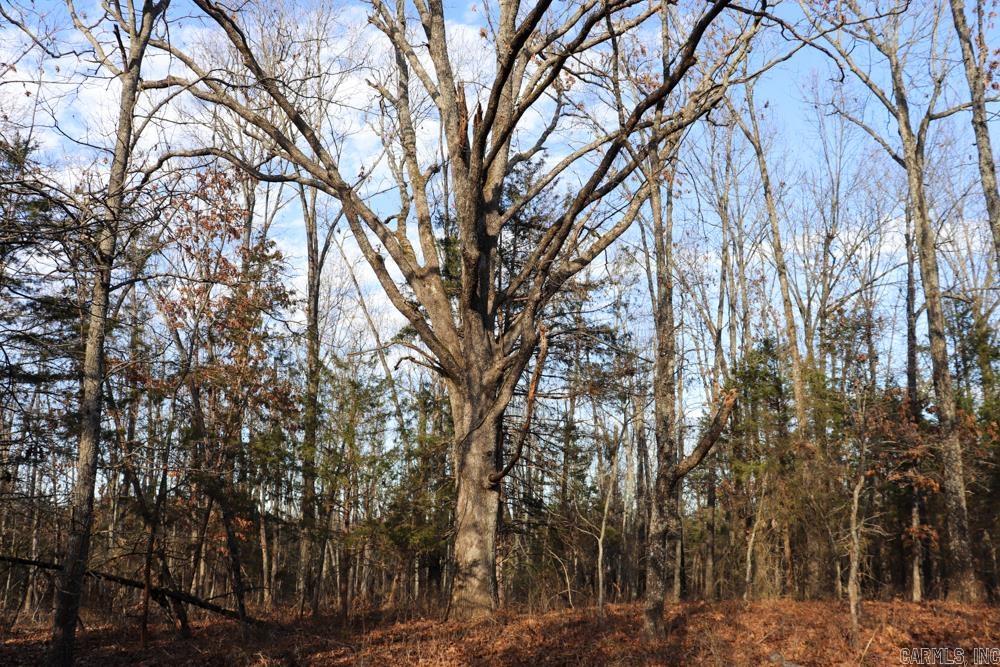 Photo 34 - Residential for sale – 9238  Elizabeth   Viola, AR