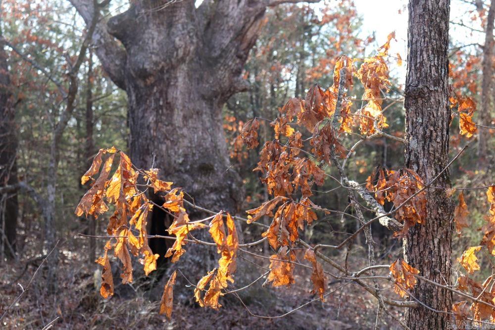 Photo 35 - Residential for sale – 9238  Elizabeth   Viola, AR