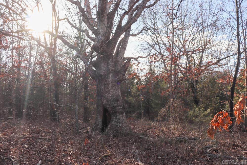 Photo 36 - Residential for sale – 9238  Elizabeth   Viola, AR