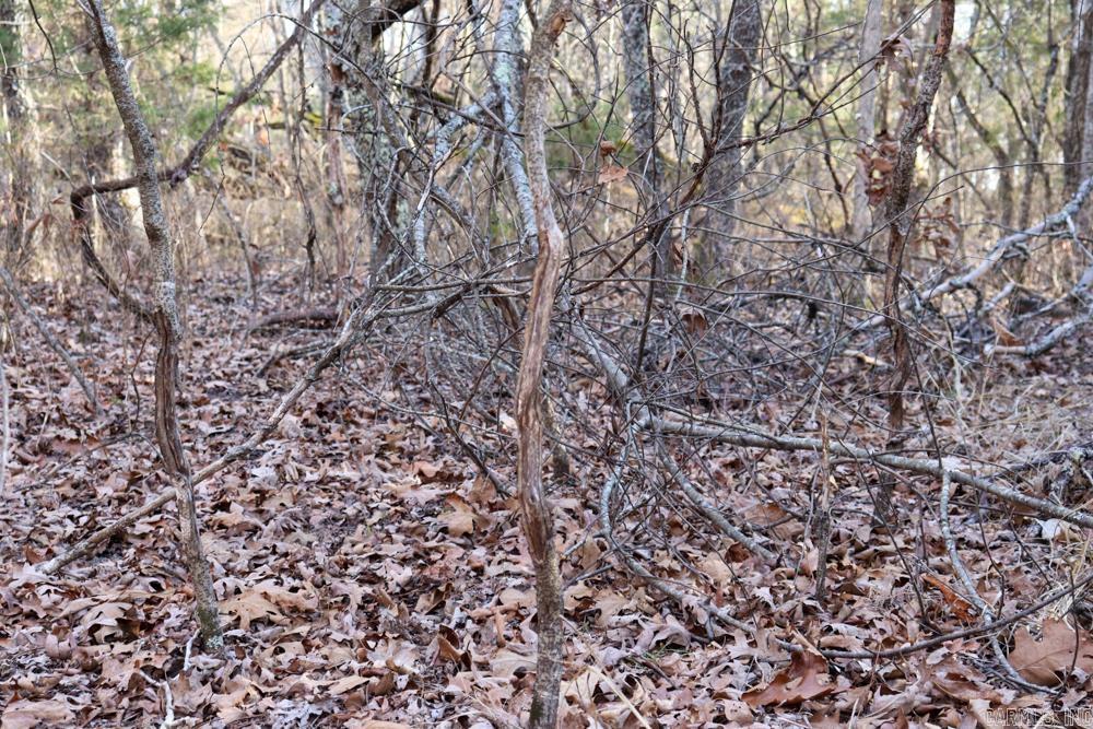 Photo 38 - Residential for sale – 9238  Elizabeth   Viola, AR