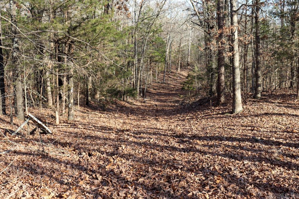 Photo 41 - Residential for sale – 9238  Elizabeth   Viola, AR