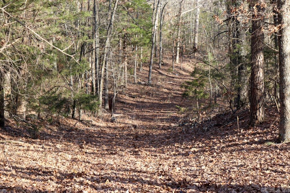 Photo 42 - Residential for sale – 9238  Elizabeth   Viola, AR