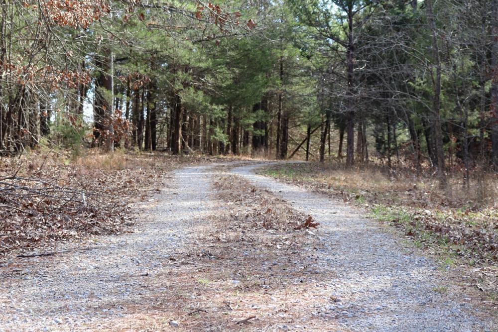 Photo 8 - Residential for sale – 9238  Elizabeth   Viola, AR