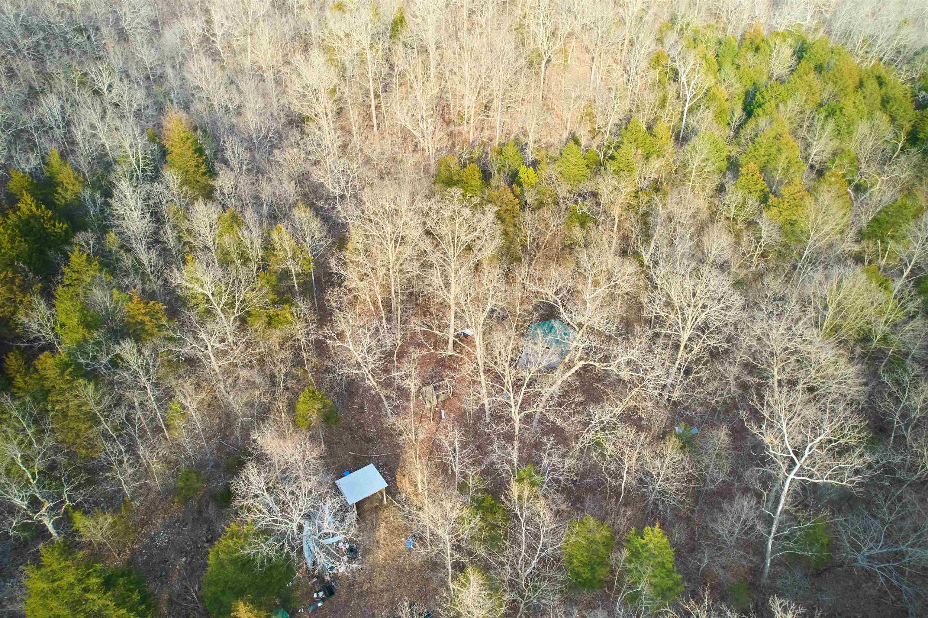 Photo 19 - Residential for sale – 00  Red Oak   Hardy, AR